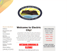 Tablet Screenshot of electriccity.us